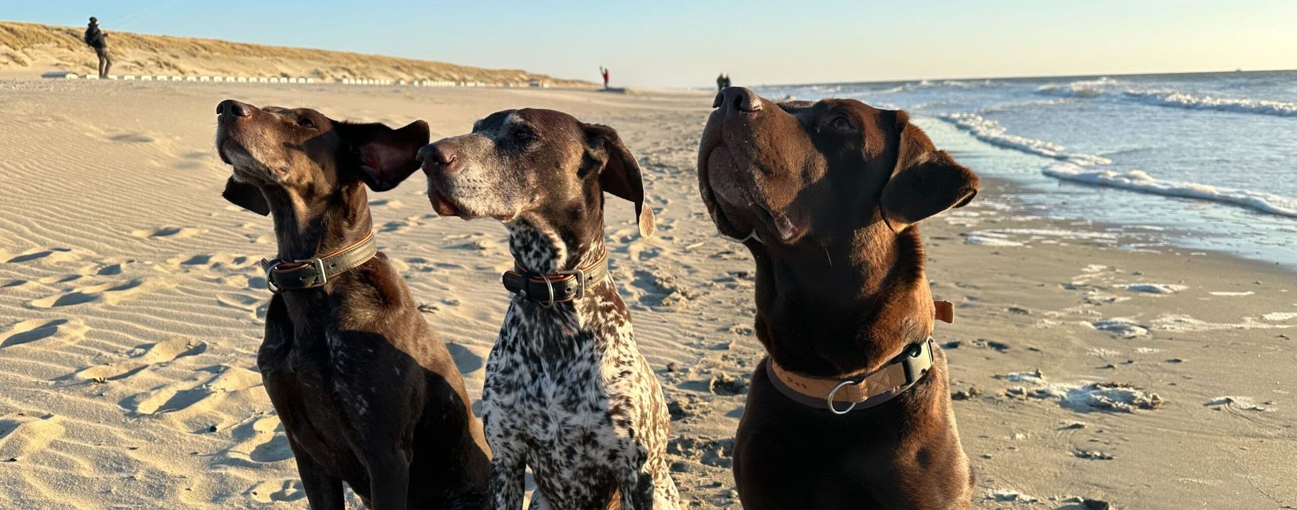 Header Urlaubsbetreuung