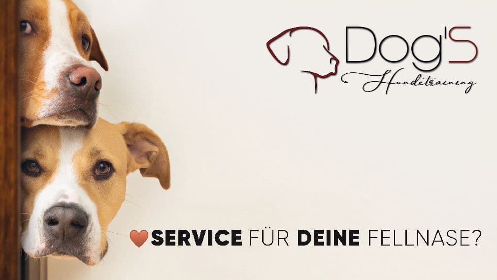 Partner: Dogshundetraining