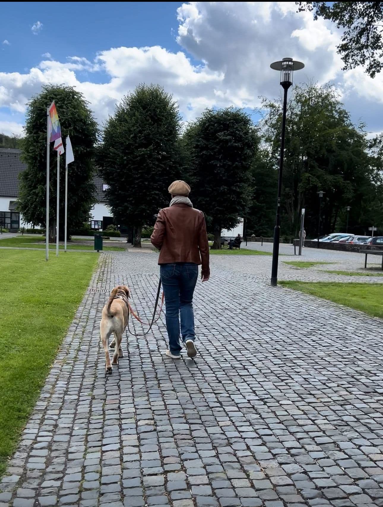 Header Einzeltraining vor Ort