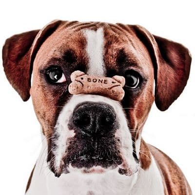 Einzeltraining vor Ort